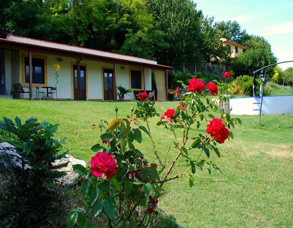 La Casa Nettarina Guest House Poggio Mirteto Bagian luar foto