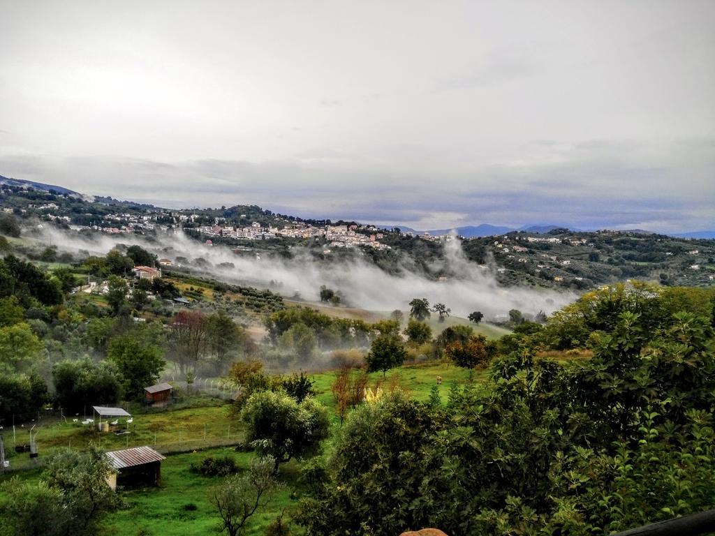 La Casa Nettarina Guest House Poggio Mirteto Bagian luar foto